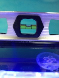 Leveling your jellyfish tank properly