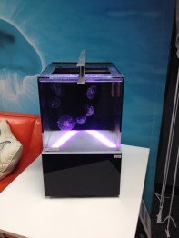 Leveling a Jellyfish Tank
