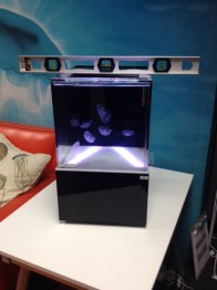 Level your Jellyfish Tank