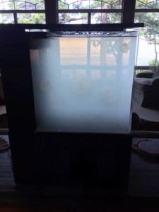 high nitrates & phosphates