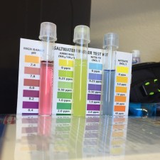 API Master Saltwater Test Kit vials