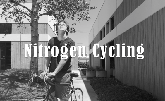 Screen Shot 2018-04-13 at 1.03.39 PM