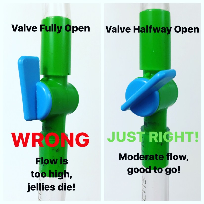 valves